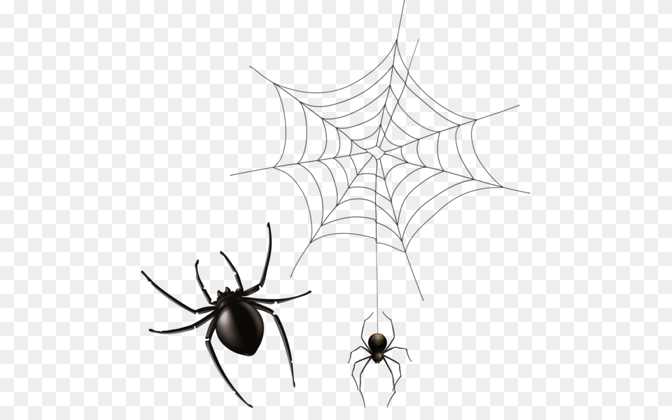 Spider And Cobweb Clipart Image Halloween, Animal, Invertebrate, Spider Web Png