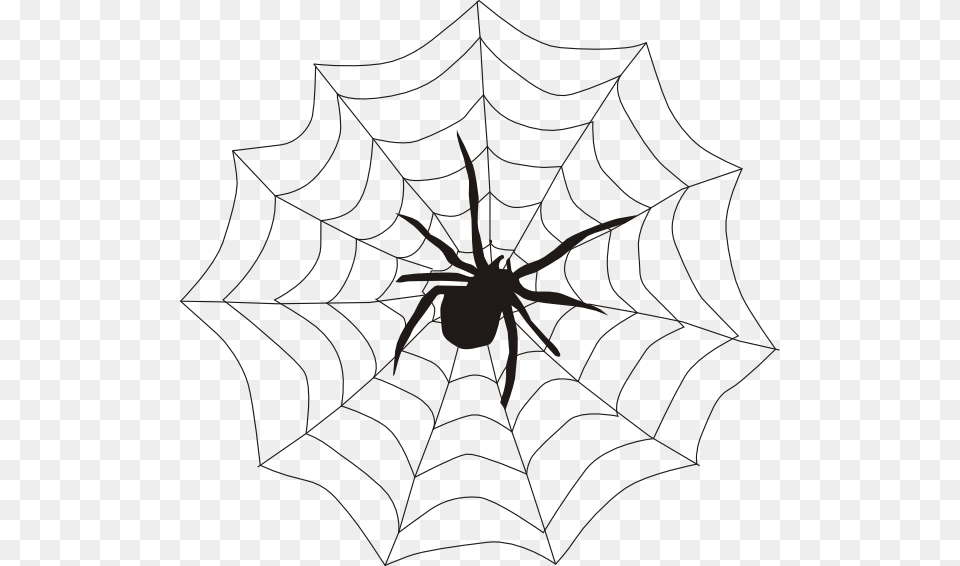 Spider And Web Clip Art, Spider Web, Animal, Invertebrate Free Transparent Png