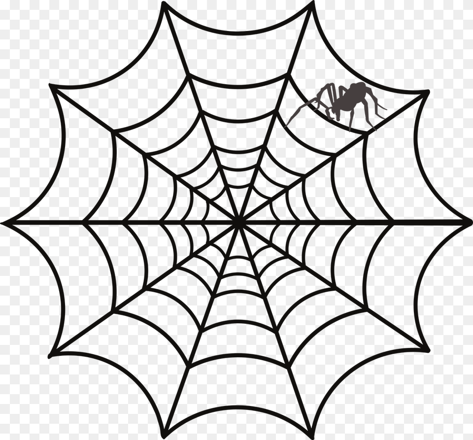 Spider Animals Nature Photo Clipart Picture Of Web, Spider Web Free Transparent Png