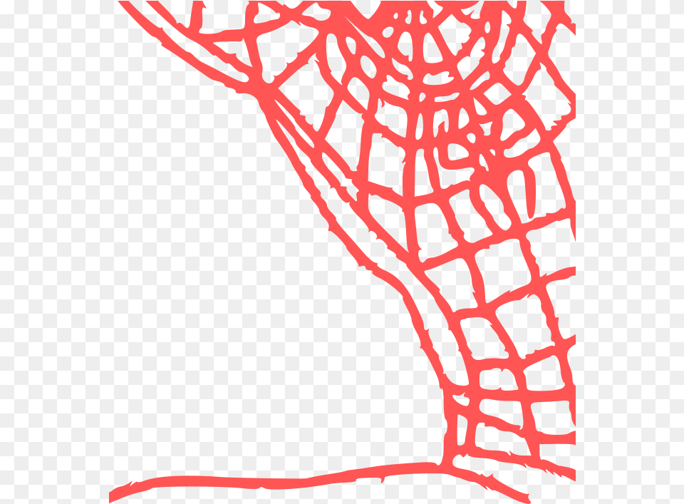 Spider At Home, Pattern Free Png