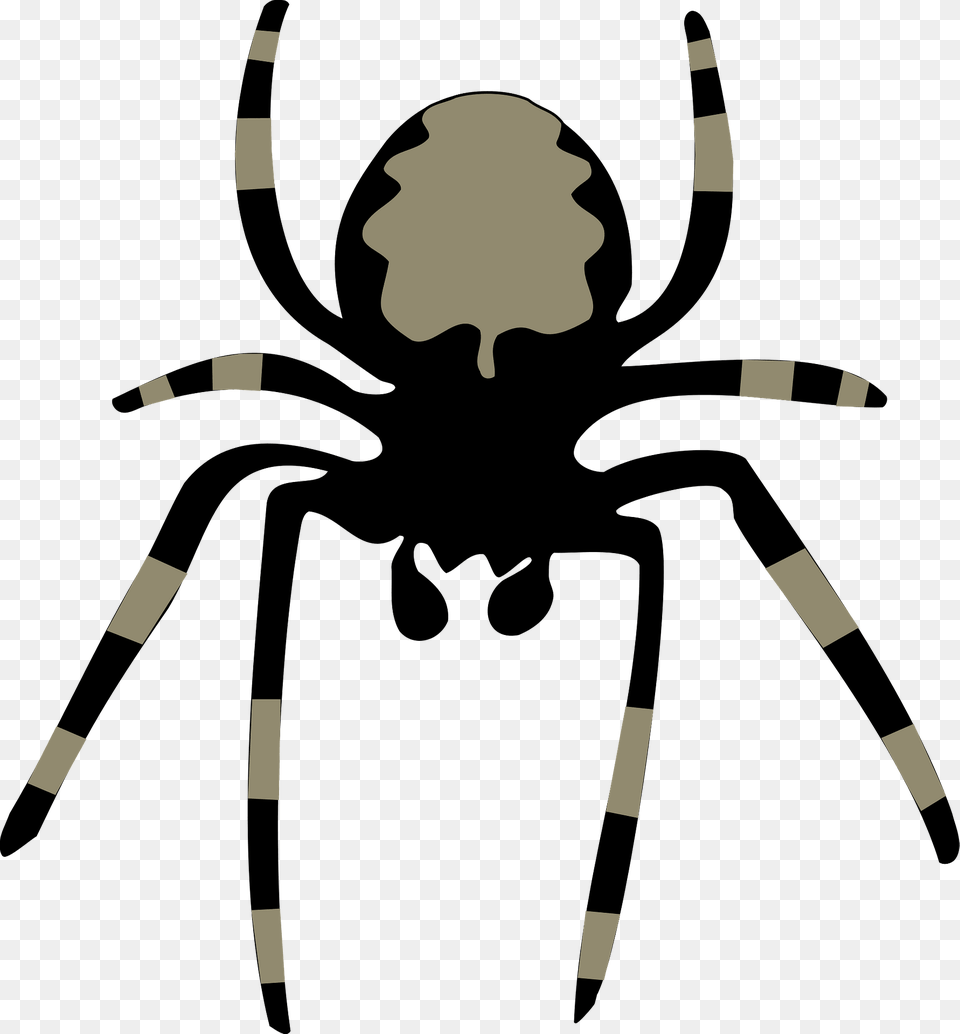 Spider Black And White Clipart, Animal, Invertebrate, Bow, Weapon Png Image