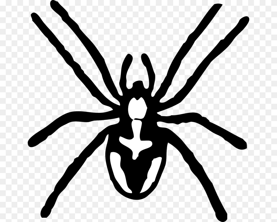Spider Black And White Spider Clipart Black And White Images, Electronics, Hardware, Stencil, Baby Free Transparent Png