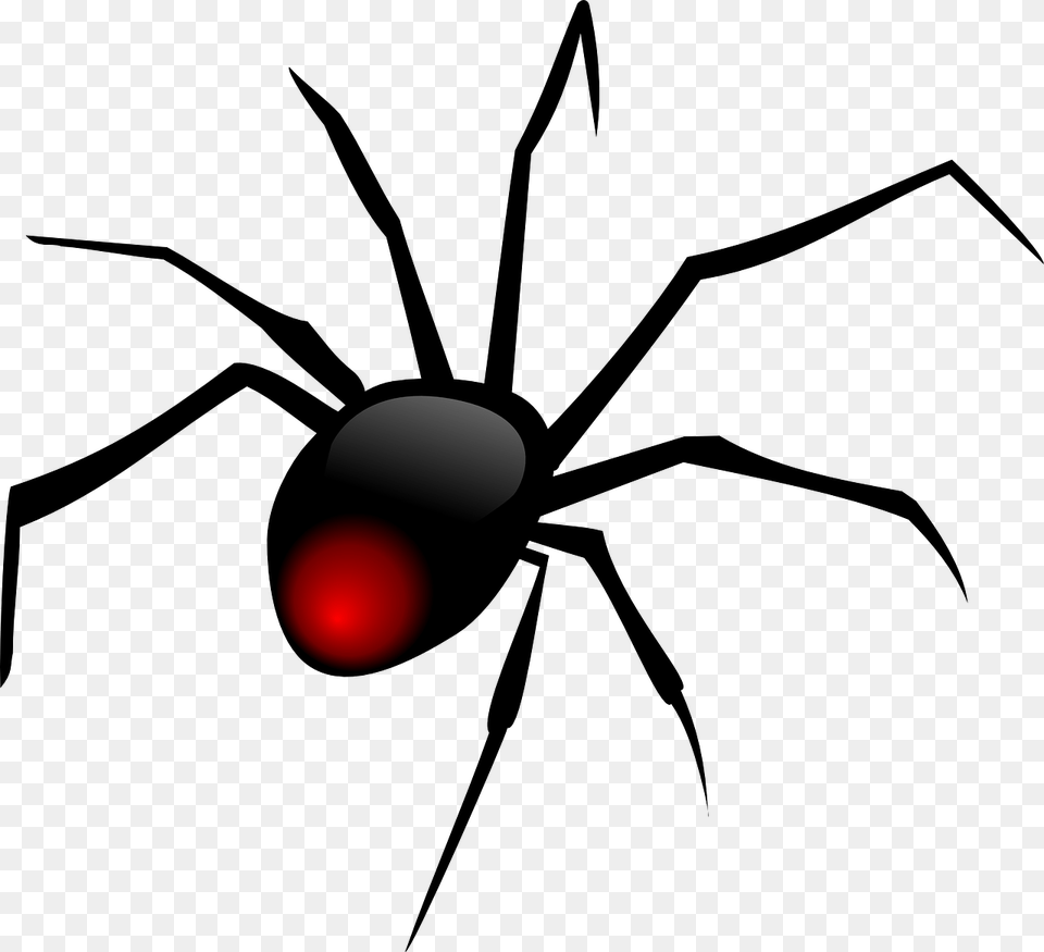 Spider Black Red Picture Spider Clipart, Light, Traffic Light, Lighting Free Png