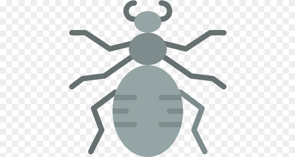 Spider Bugs Icon Illustration, Animal, Ant, Insect, Invertebrate Free Png Download