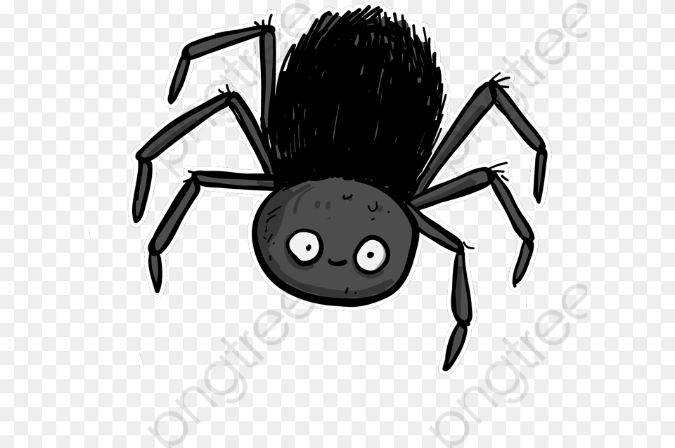 Spider Cartoon Incy Spider Background, Animal, Invertebrate Free Transparent Png