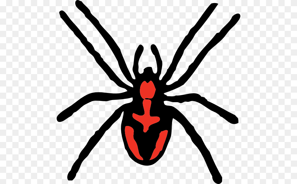 Spider Clip Art, Animal, Invertebrate, Black Widow, Insect Free Png Download