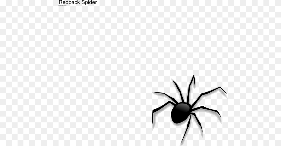 Spider Clip Art, Animal, Invertebrate Png Image