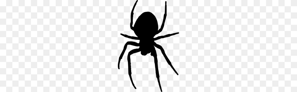 Spider Clip Art, Gray Free Transparent Png