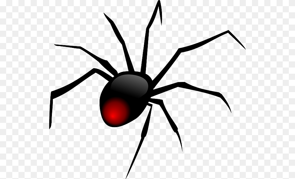 Spider Clip Art, Animal, Invertebrate, Black Widow, Insect Free Transparent Png