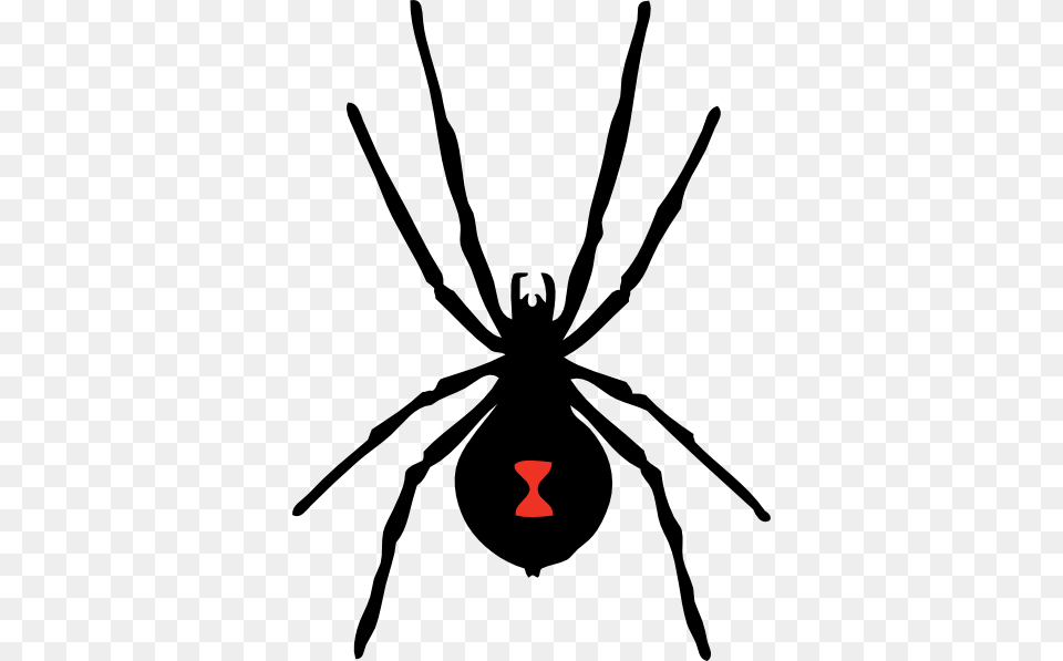 Spider Clip Art, Animal, Invertebrate, Black Widow, Insect Png Image