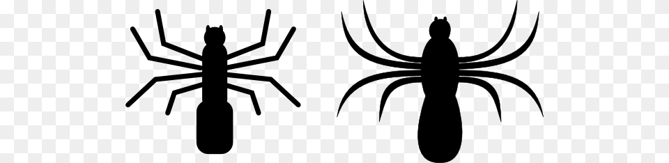 Spider Clip Art Vector, Adult, Person, Male, Man Free Png