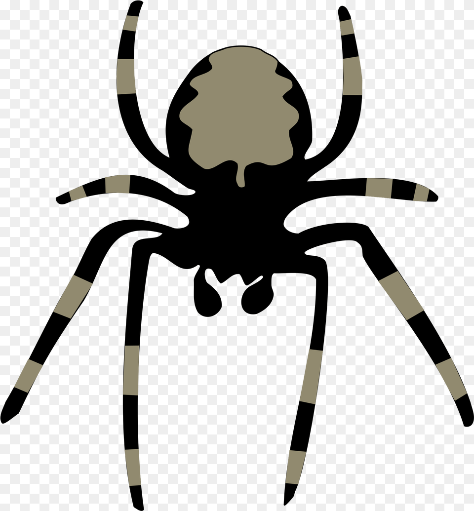 Spider Clip Arts Clipart Of Spider, Adult, Male, Man, Person Png Image