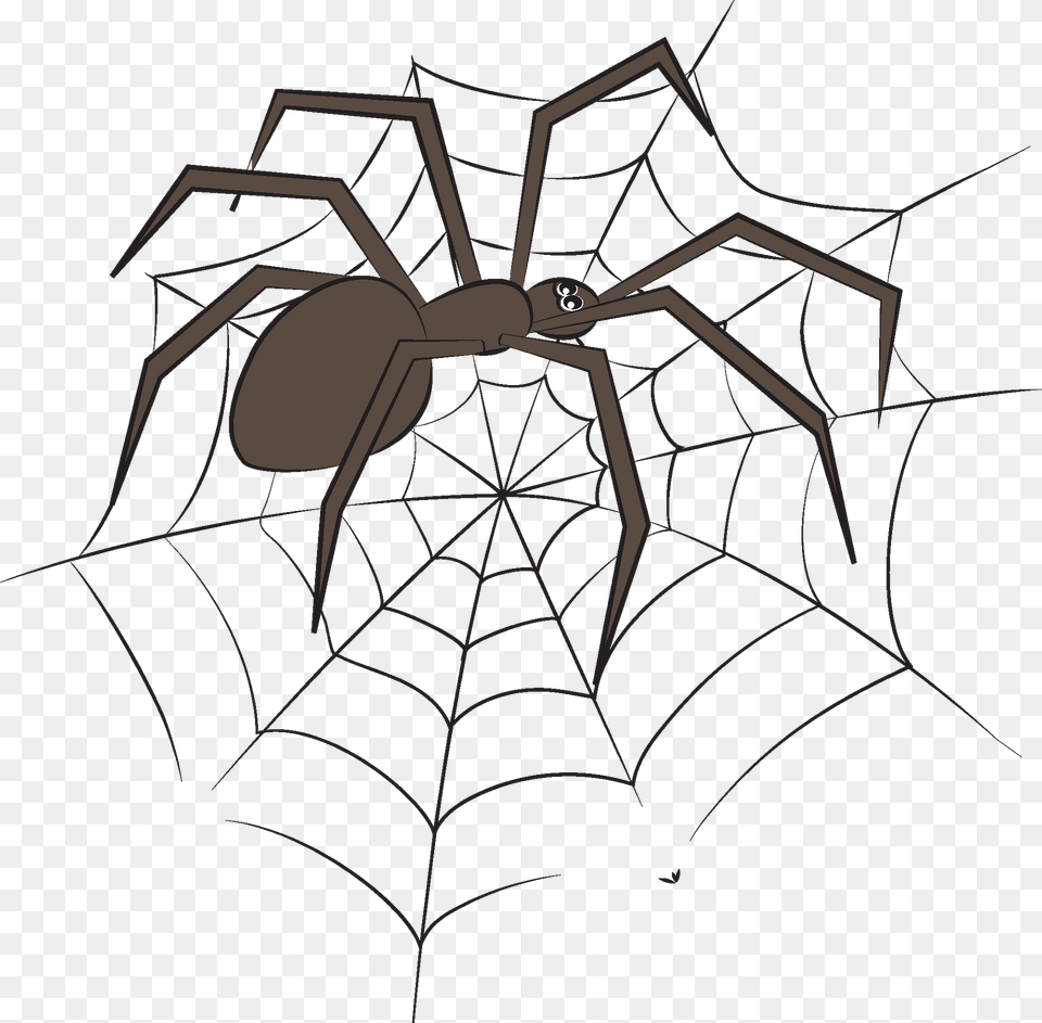 Spider Clipart, Animal, Invertebrate, Spider Web Png