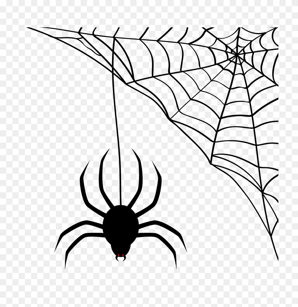 Spider Clipart, Animal, Invertebrate, Spider Web, Kangaroo Png Image