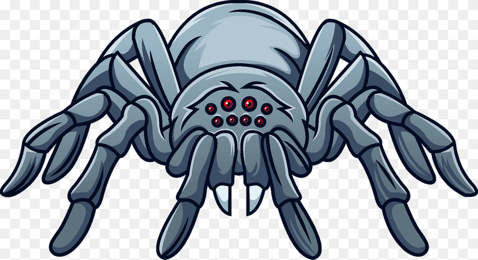 Spider Clipart, Animal, Invertebrate, Baby, Person Free Transparent Png