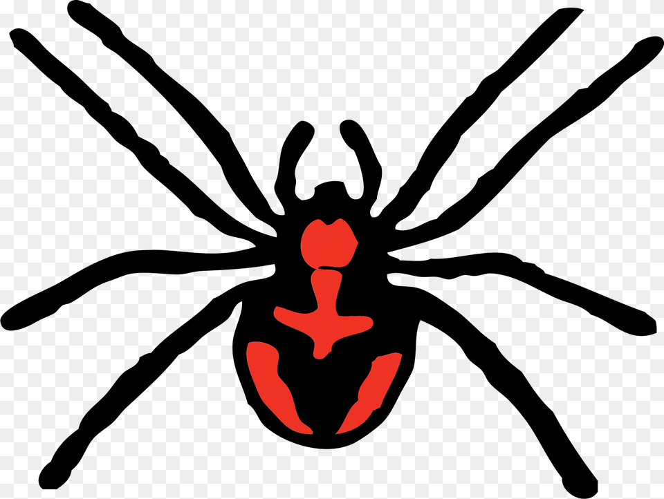 Spider Clipart, Animal, Invertebrate, Black Widow, Insect Free Png