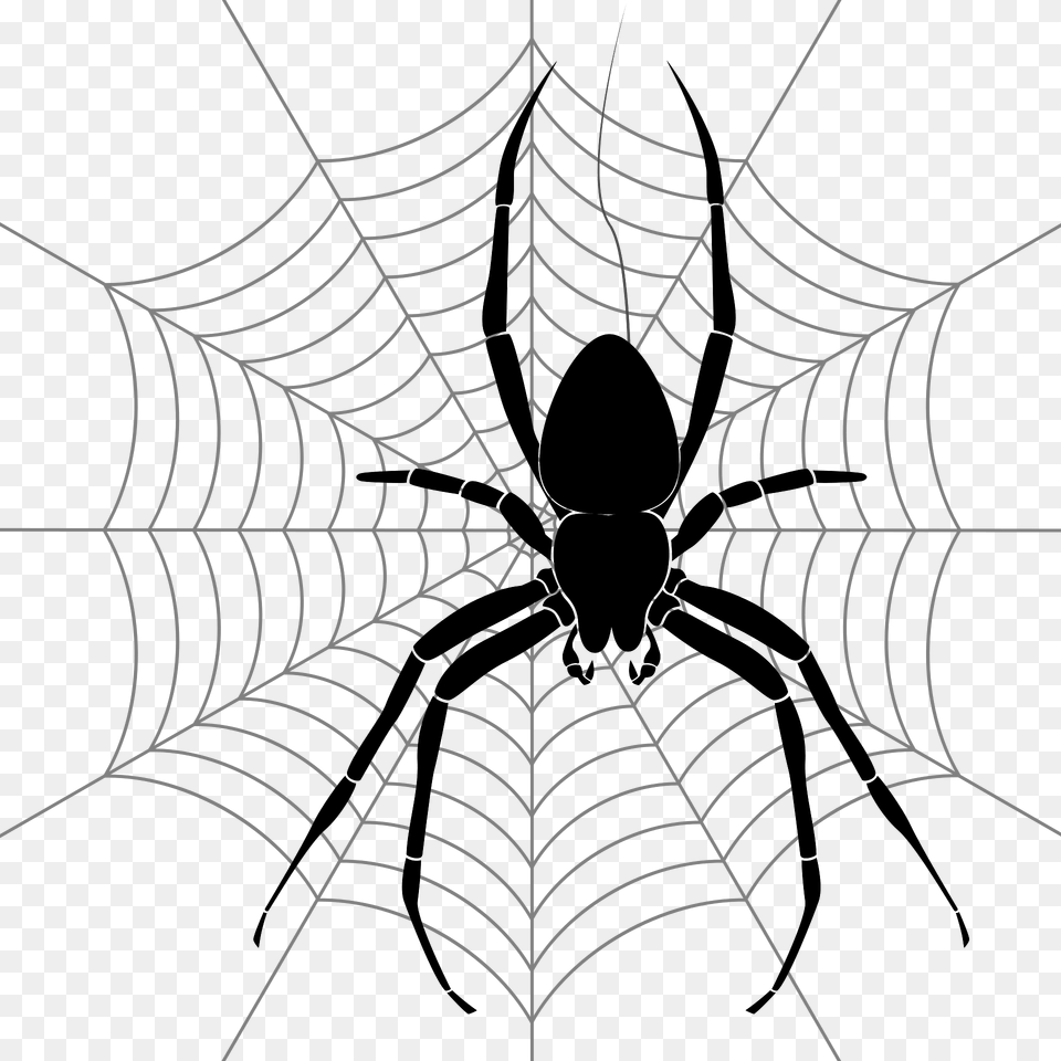 Spider Clipart, Animal, Invertebrate, Garden Spider, Insect Free Png Download