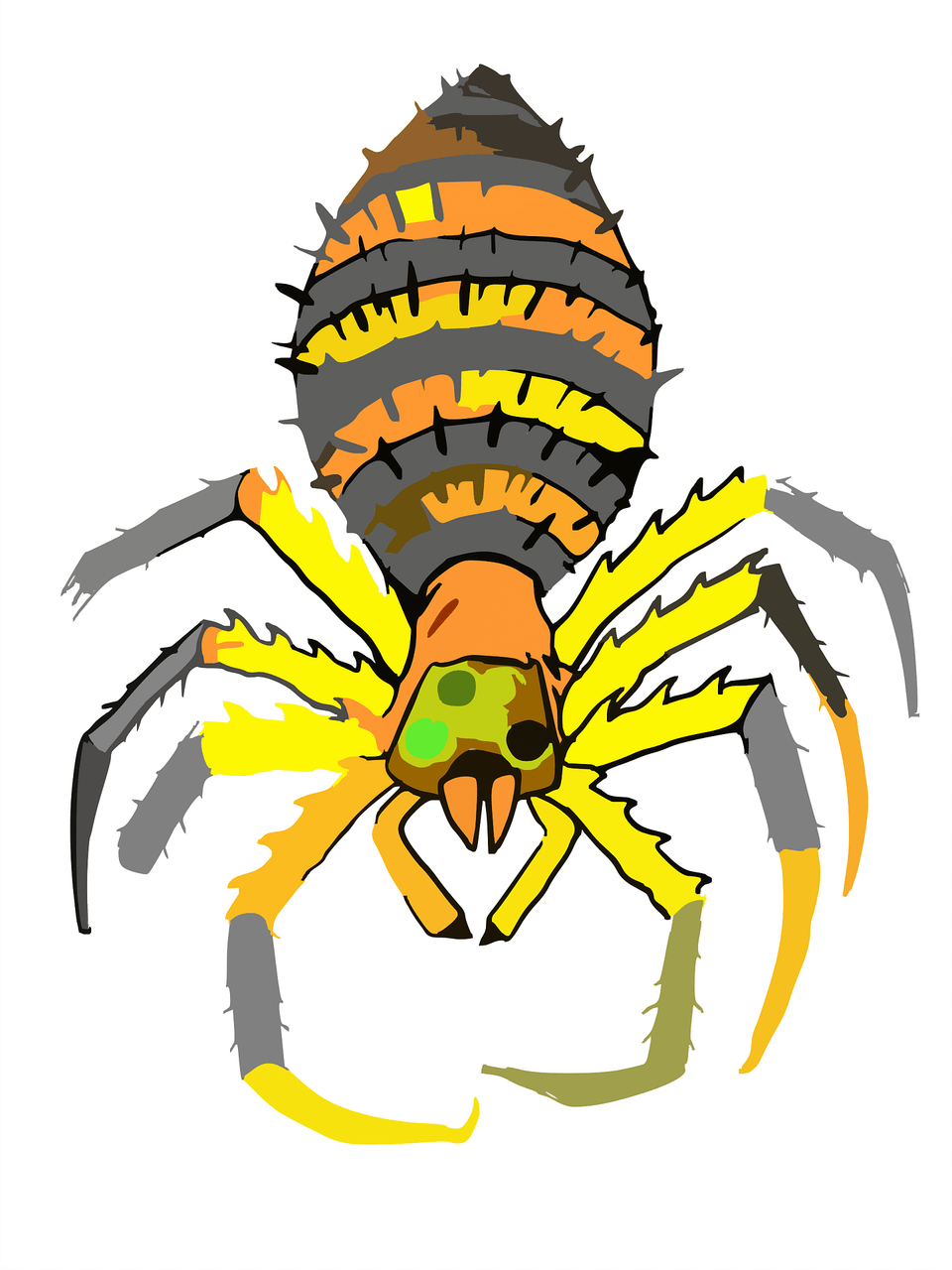 Spider Clipart, Animal, Invertebrate, Garden Spider, Insect Free Transparent Png