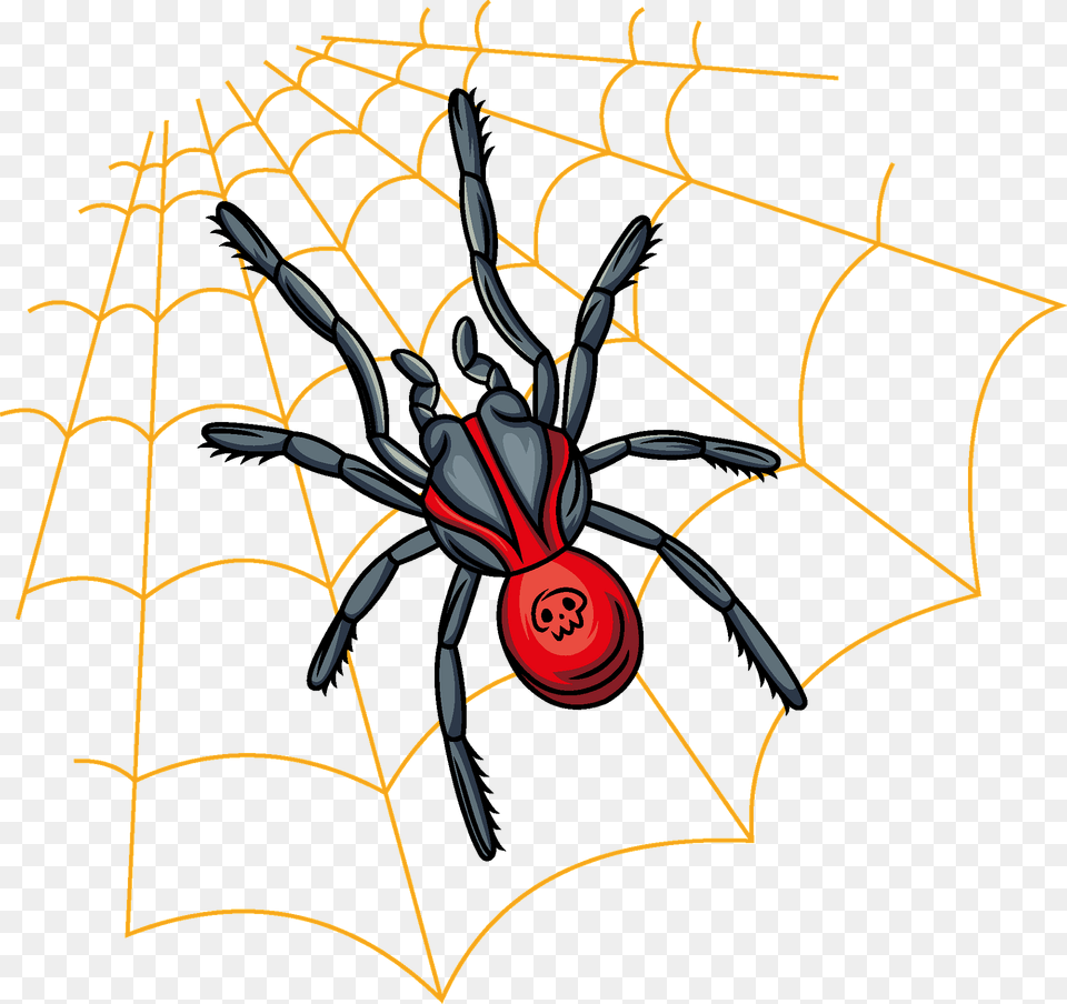 Spider Clipart, Animal, Invertebrate Png