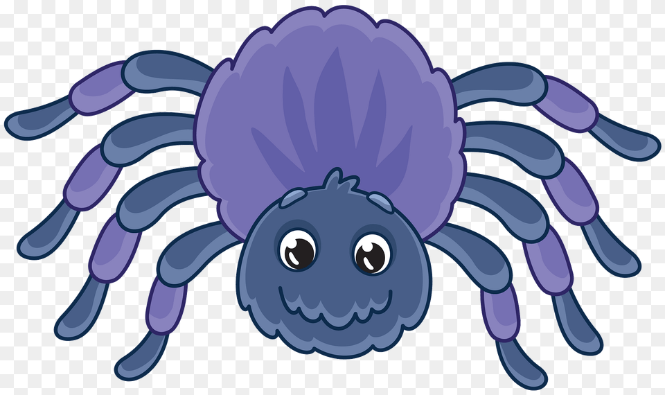 Spider Clipart, Animal, Invertebrate, Reptile, Sea Life Free Transparent Png