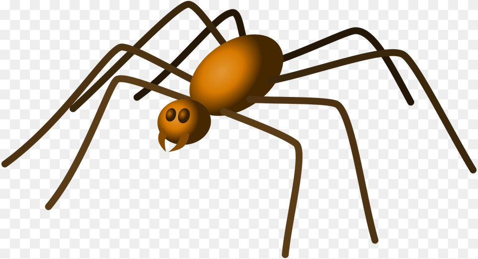 Spider Clipart, Animal, Bow, Weapon, Invertebrate Free Transparent Png