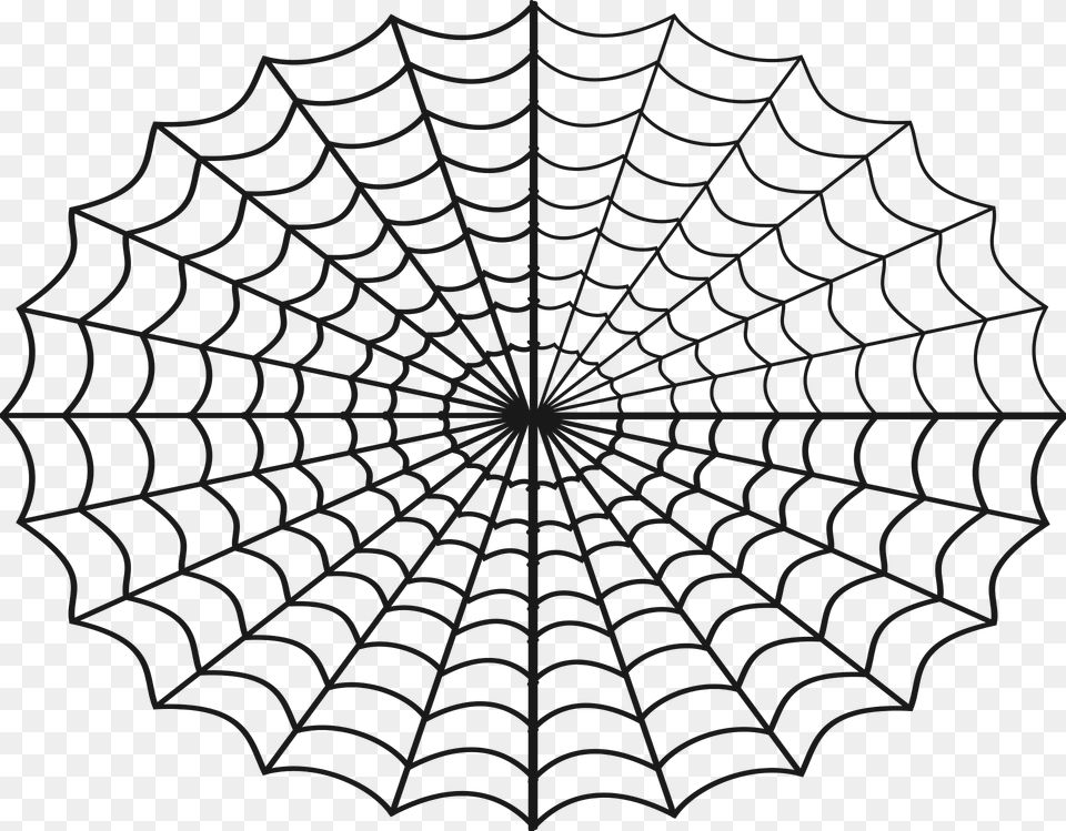 Spider Clipart, Spider Web, Animal, Reptile, Snake Png Image