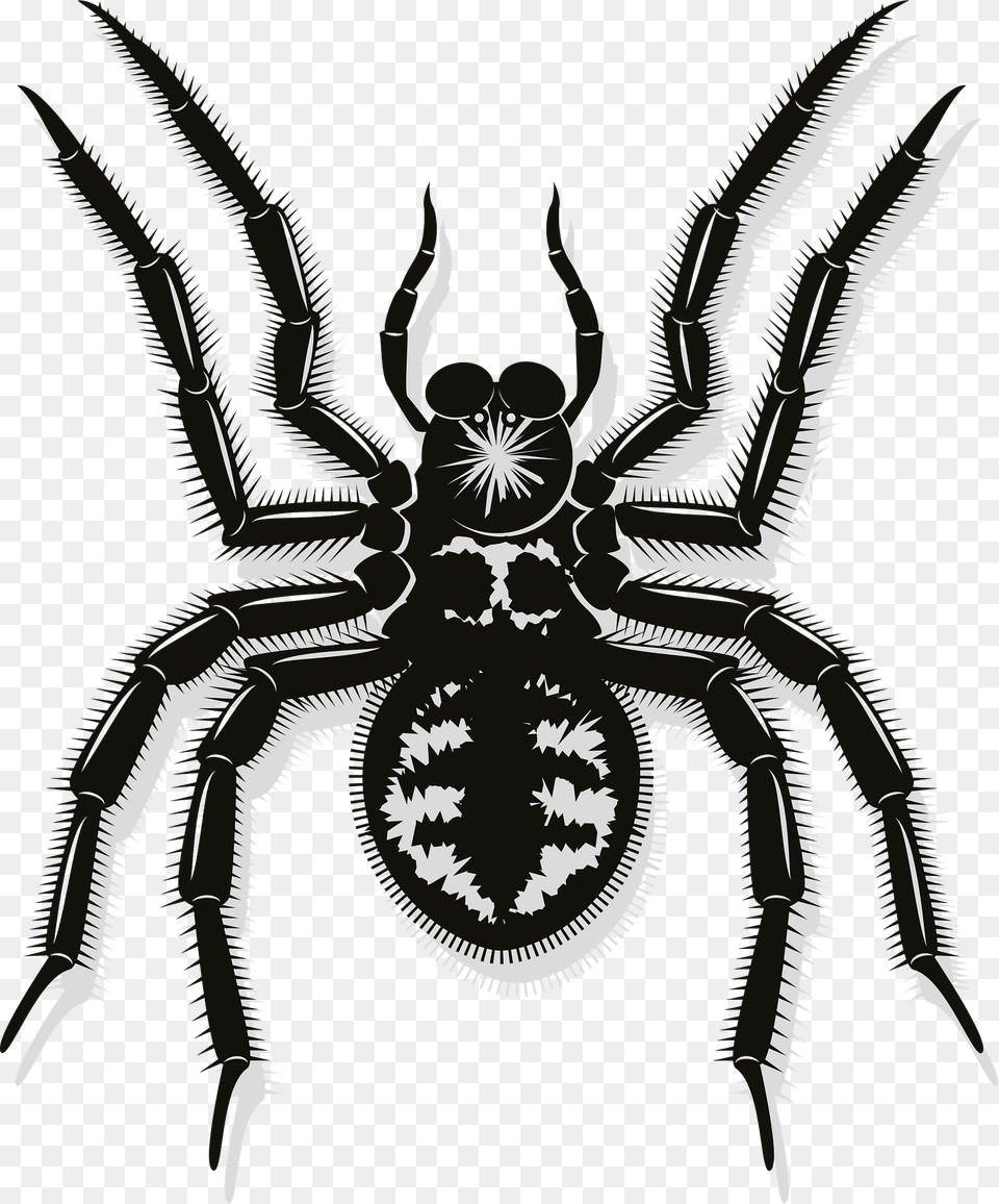 Spider Clipart, Animal, Invertebrate, Aircraft, Airplane Free Png Download