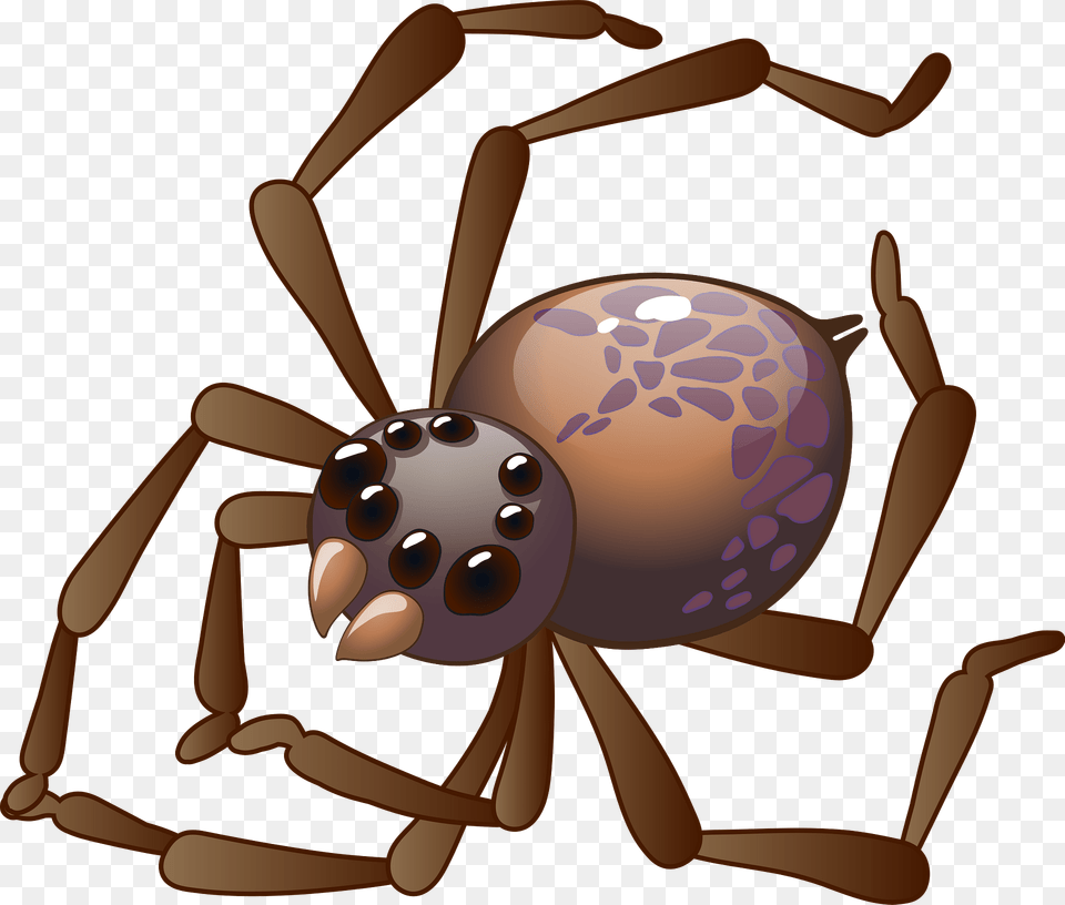 Spider Clipart, Animal, Invertebrate, Bow, Weapon Png