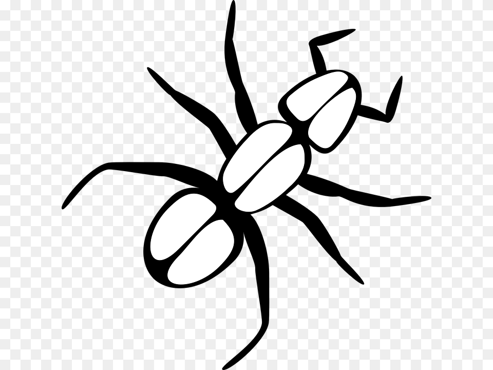 Spider Clipart Ant, Lighting, Stencil, Astronomy, Moon Png Image