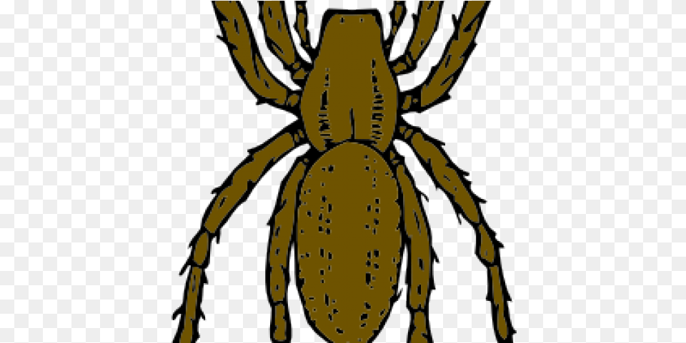 Spider Clipart Large Spider Brown Recluse Spider, Person, Animal, Invertebrate, Garden Spider Png Image