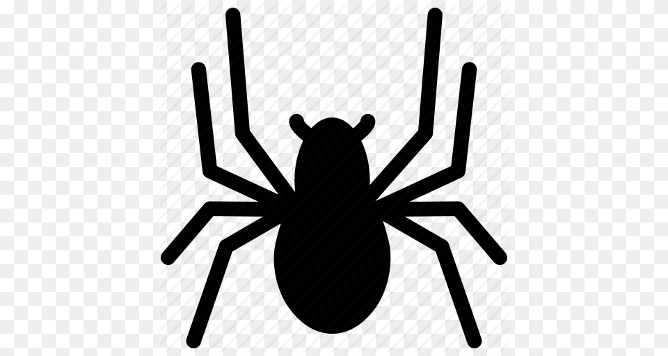 Spider Clipart Spider Clip Art Font Graphics, Animal, Invertebrate Free Png Download