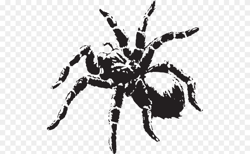 Spider Clipart Tarantula Scary Spider, Animal, Invertebrate, Insect, Person Free Png