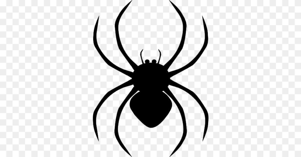 Spider Clipart Top, Gray Png