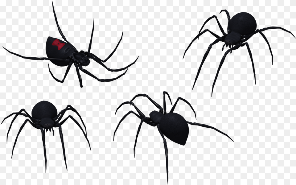 Spider Clipart Tribal Black Widow Spider Pics Black And White, Animal, Invertebrate, Insect, Black Widow Free Png Download