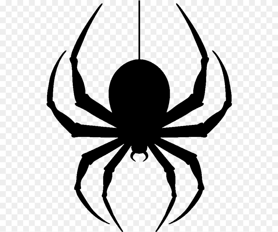Spider Dangling Clipart Donovan Mitchell Wallpaper God Creating Spiders Meme, Animal, Invertebrate Free Transparent Png