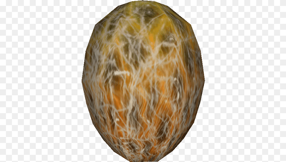 Spider Egg Food, Sphere, Accessories, Astronomy, Outer Space Free Transparent Png