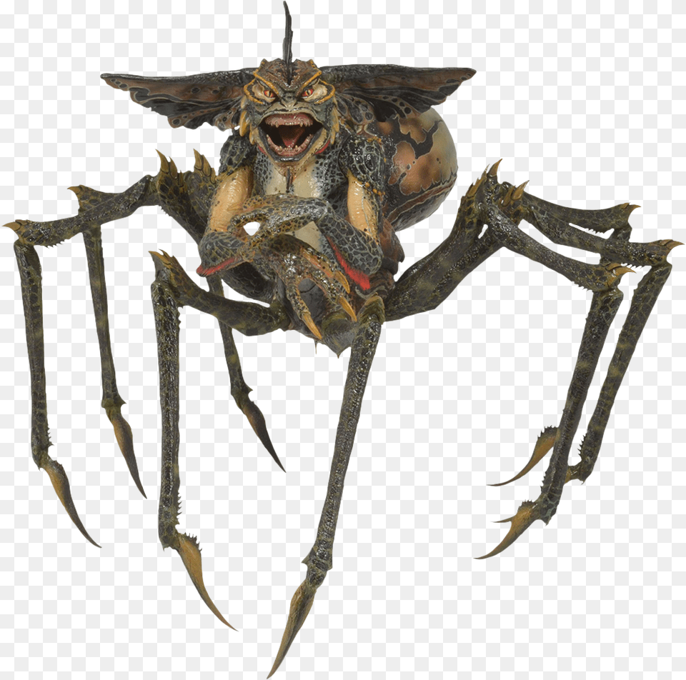 Spider Gremlin, Electronics, Hardware, Animal, Insect Png