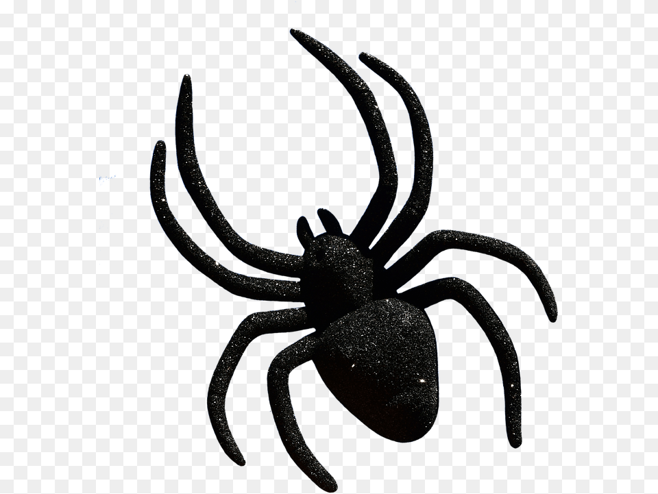 Spider Halloween Accessories Cropping Exemption Halloween Spider, Animal, Invertebrate, Black Widow, Insect Free Png Download