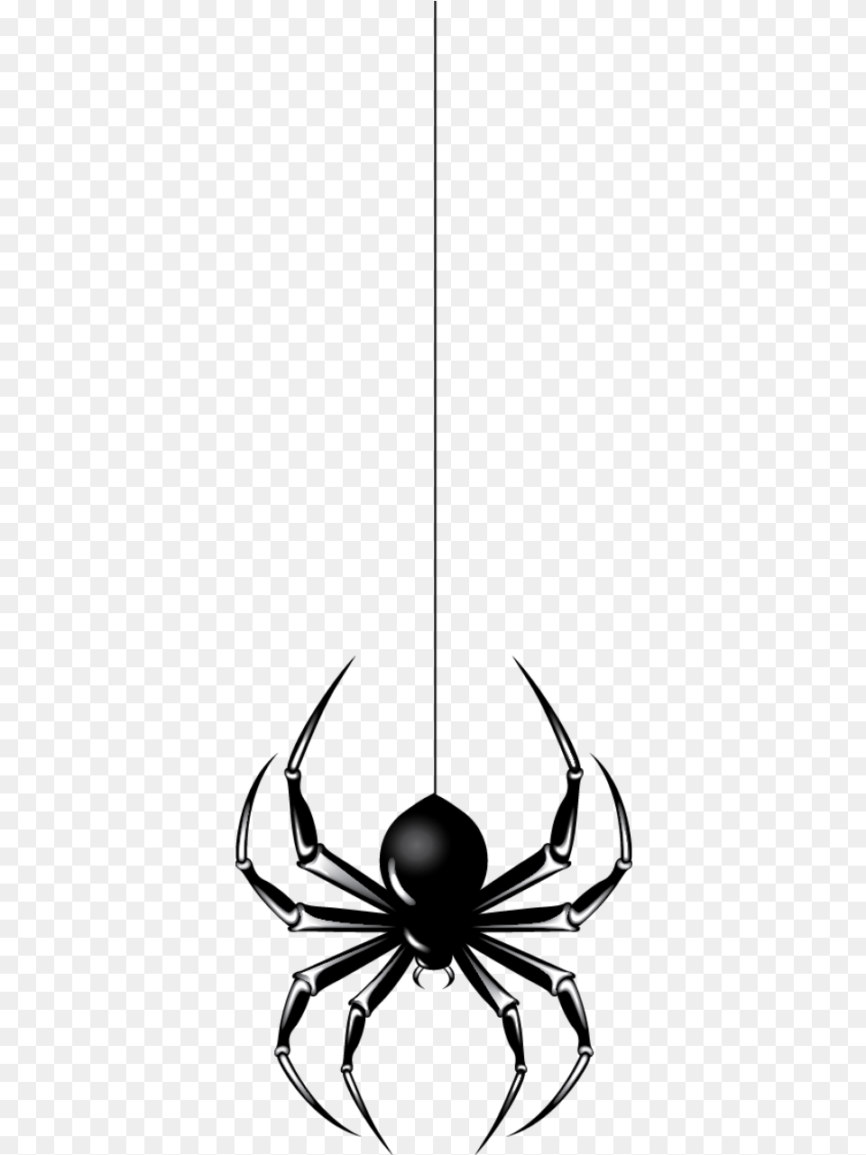 Spider Halloween Clip Art Halloween Spider, Symbol Free Transparent Png