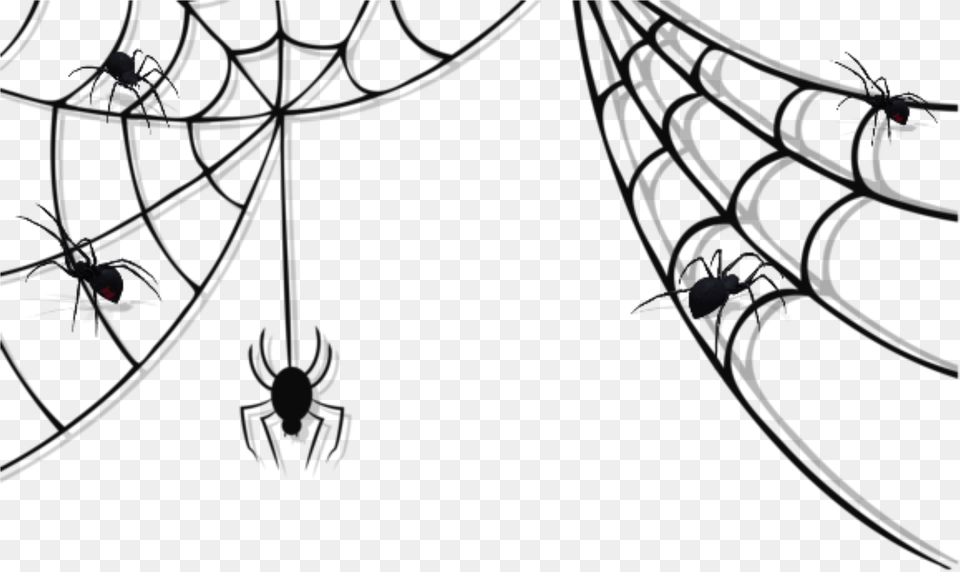 Spider Halloween Spiders Spiderweb Spiderwebs Background Spider Web, Accessories, Animal, Invertebrate, Pattern Free Transparent Png
