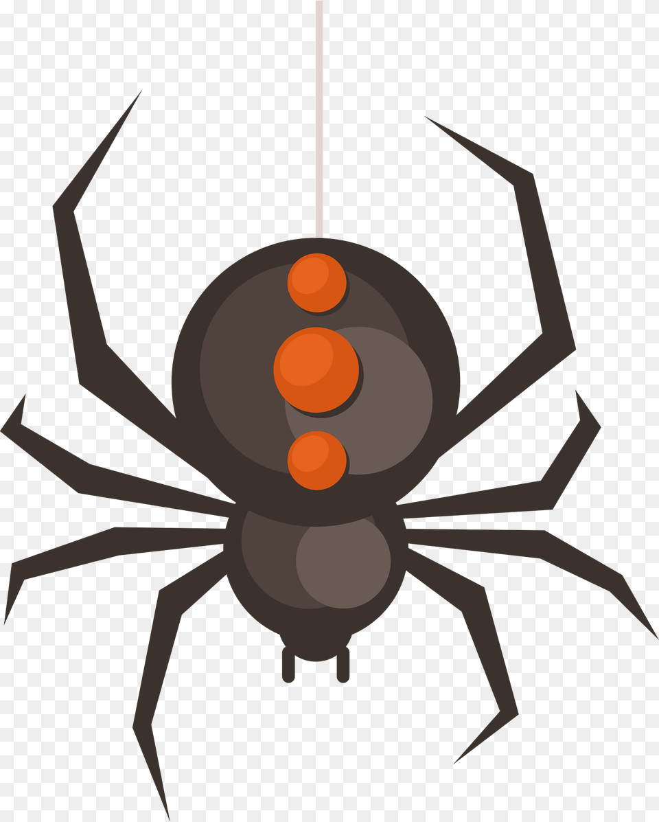 Spider Hanging Clipart, Animal, Invertebrate, Black Widow, Insect Png