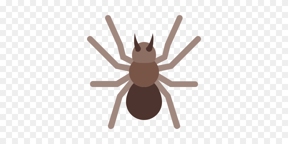 Spider Icon And Vector Insect, Animal, Invertebrate, Chandelier, Lamp Free Transparent Png