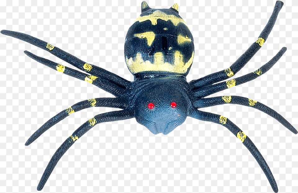 Spider Image Blue Spider, Animal, Invertebrate, Insect Free Png Download