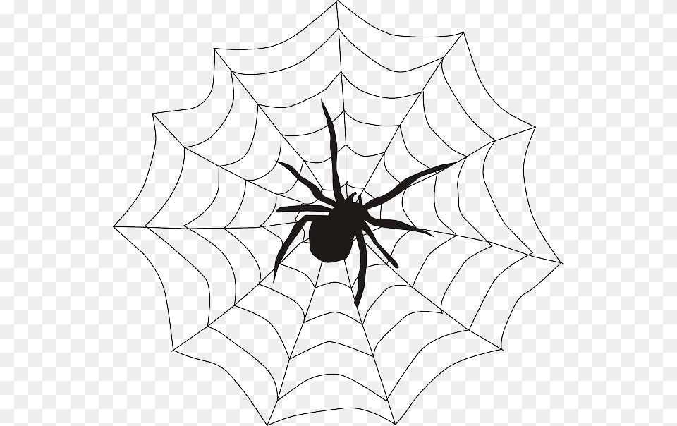 Spider In A Web Clipart, Spider Web, Animal, Invertebrate Free Png