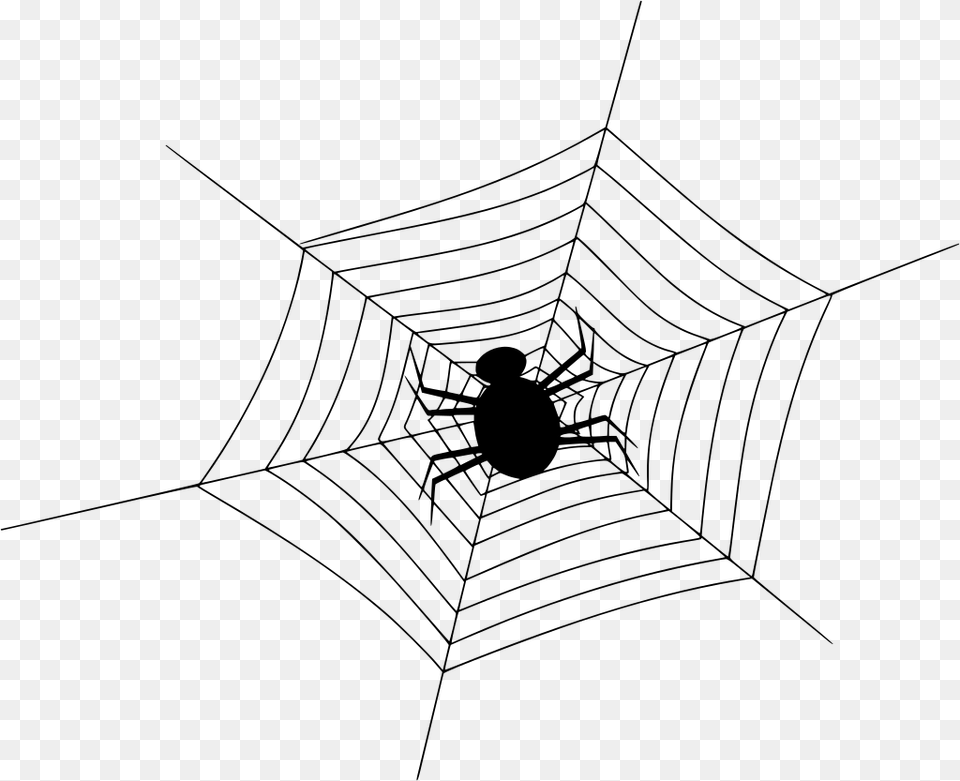 Spider In Middle Of Web, Gray Free Transparent Png