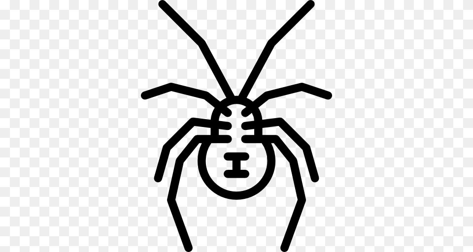 Spider Insect Southern Black Widow Clip Art, Stencil, Animal, Invertebrate, Bee Png Image