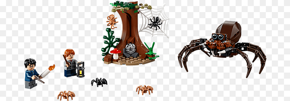 Spider Lego Harry Potter, Animal, Invertebrate, Person Free Png
