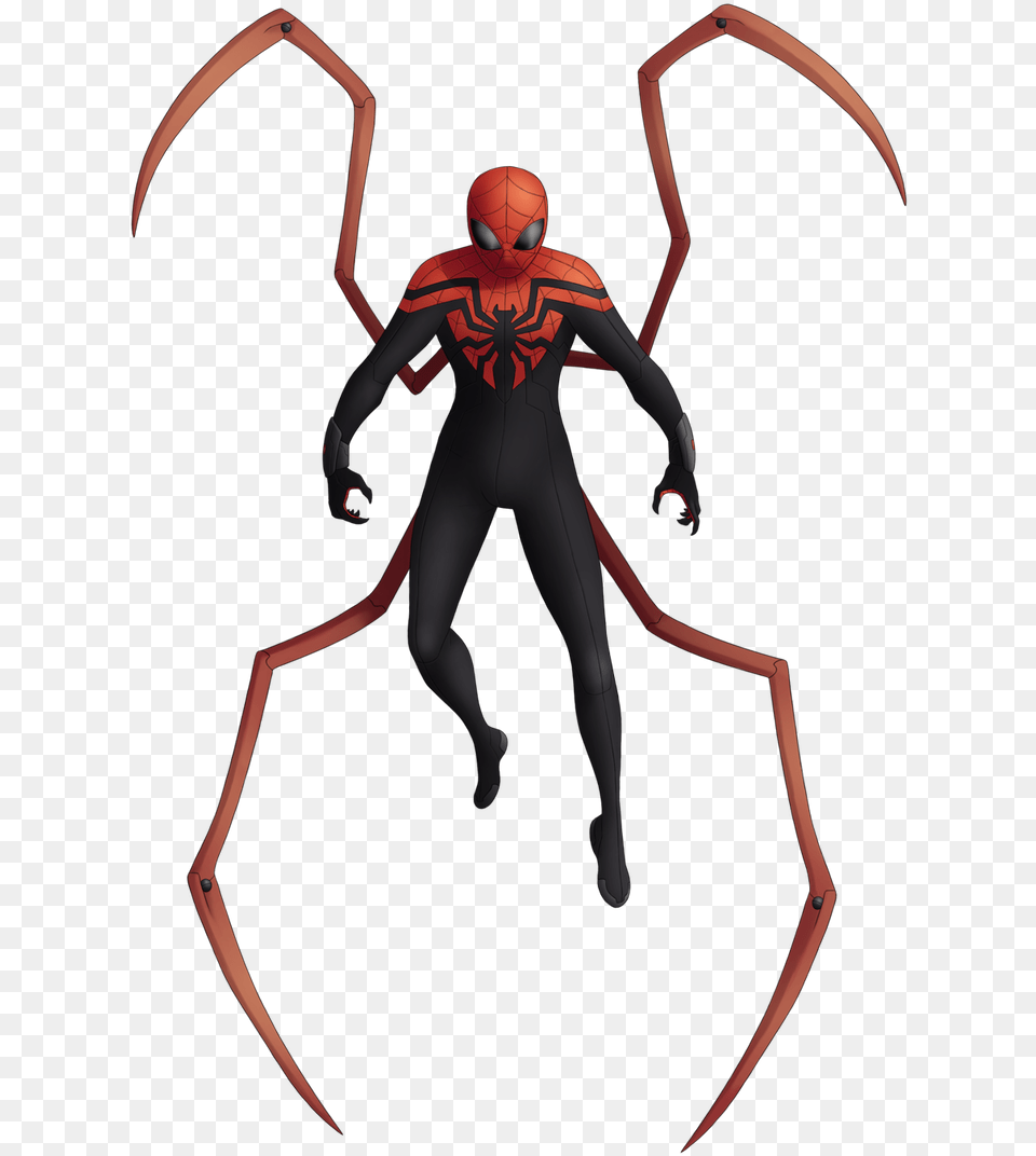 Spider Man By Spider Web, Insect, Animal, Bee, Wasp Free Transparent Png