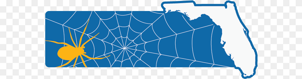 Spider Man May Be From Queens But Many Spiders Love Fl Plot, Spider Web, Animal, Invertebrate Free Transparent Png