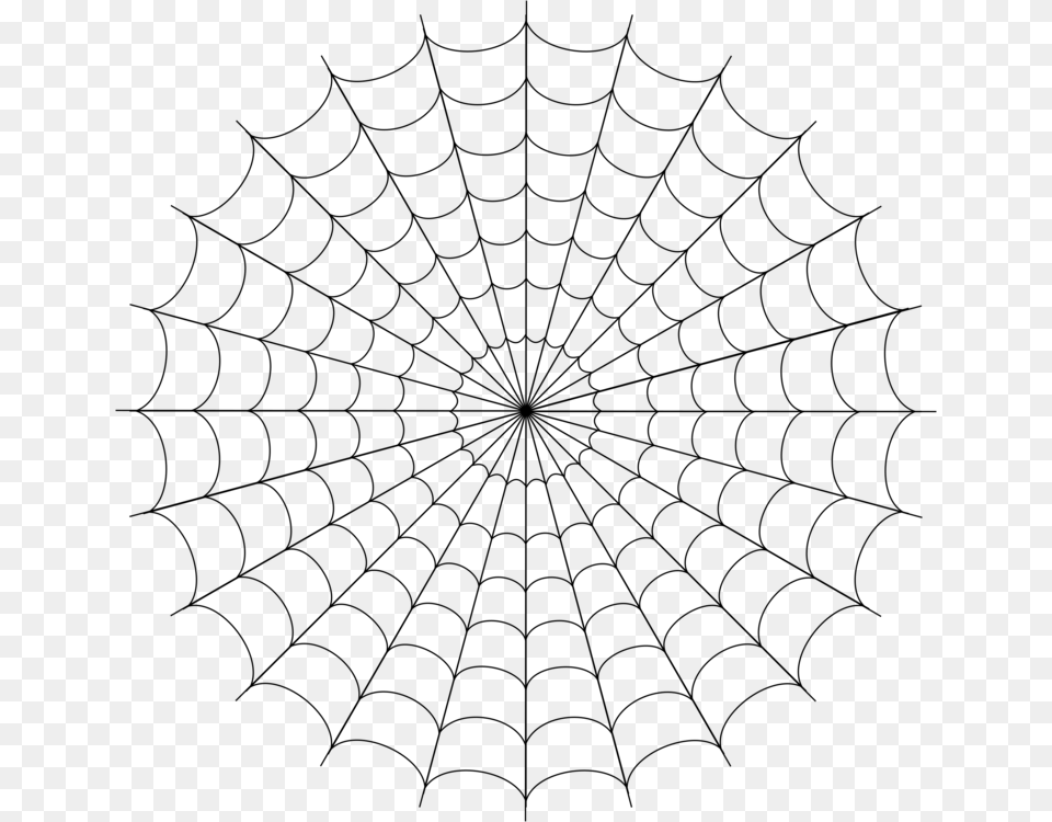 Spider Man Spider Web Drawing Tangle Web Spider Spider Web, Gray Png Image